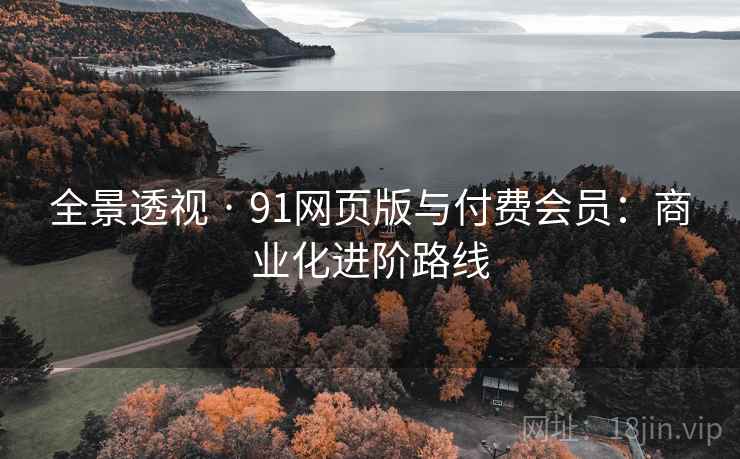 全景透视 · 91网页版与付费会员：商业化进阶路线
