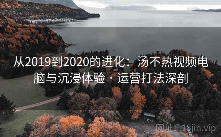 从2019到2020的进化：汤不热视频电脑与沉浸体验 · 运营打法深剖