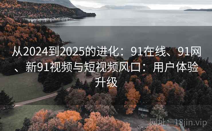 从2024到2025的进化：91在线、91网、新91视频与短视频风口：用户体验升级