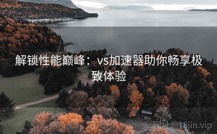 解锁性能巅峰：vs加速器助你畅享极致体验  第2张