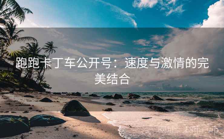 跑跑卡丁车公开号：速度与激情的完美结合  第1张