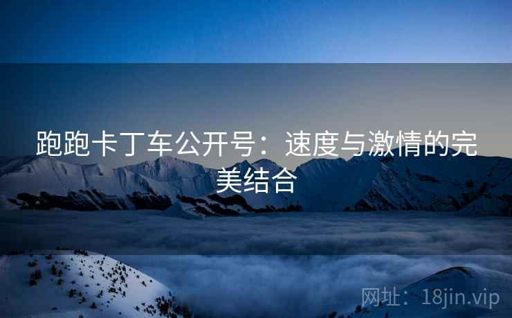 跑跑卡丁车公开号：速度与激情的完美结合  第2张