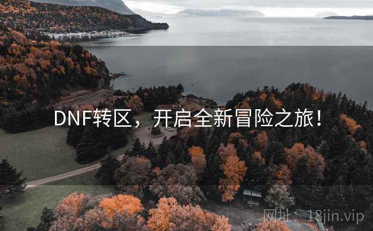 DNF转区，开启全新冒险之旅！