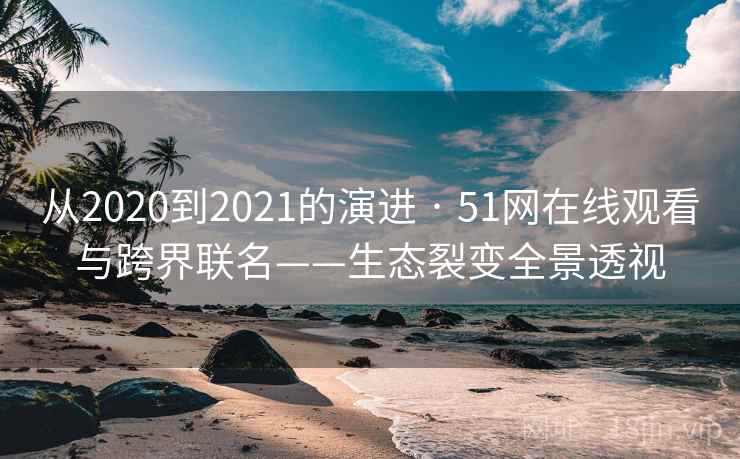 从2020到2021的演进 · 51网在线观看与跨界联名——生态裂变全景透视
