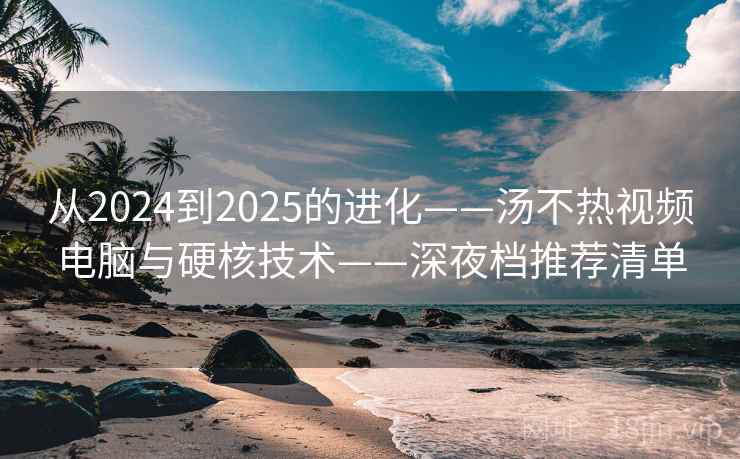 从2024到2025的进化——汤不热视频电脑与硬核技术——深夜档推荐清单