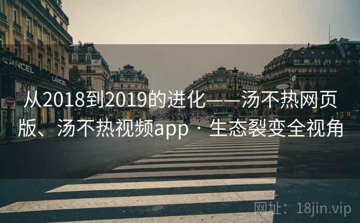 从2018到2019的进化——汤不热网页版、汤不热视频app · 生态裂变全视角