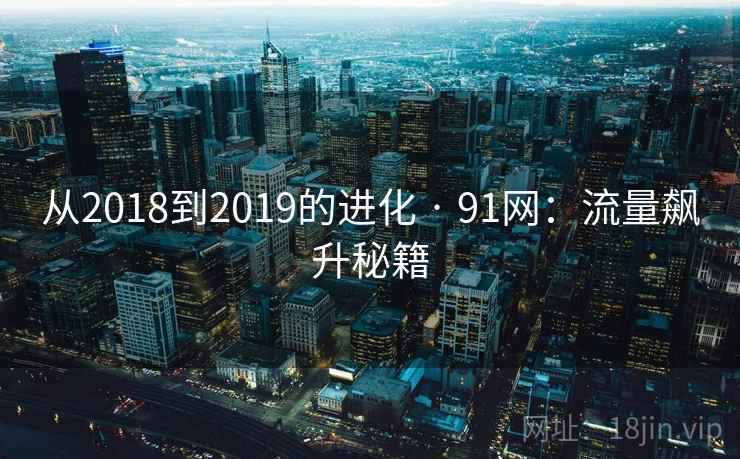 从2018到2019的进化 · 91网：流量飙升秘籍  第2张