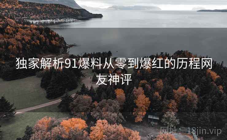 独家解析91爆料从零到爆红的历程网友神评
